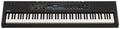 Yamaha CK Series 88-Key Stage Keyboard with Built-In Speakers, Black (CK88)